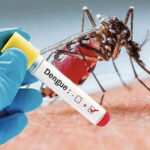 11-12-2023-Visuel-Dengue-2