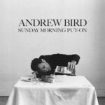 Andrew-Bird