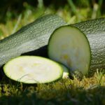 zucchini-grandi